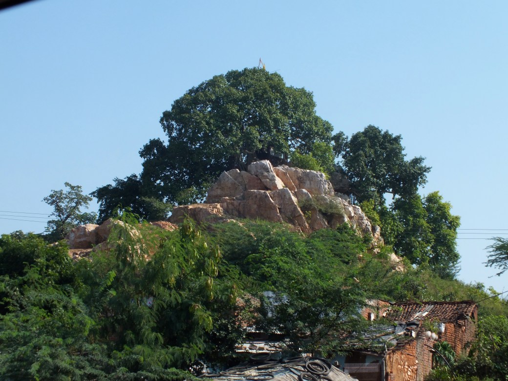vindhya range.JPG