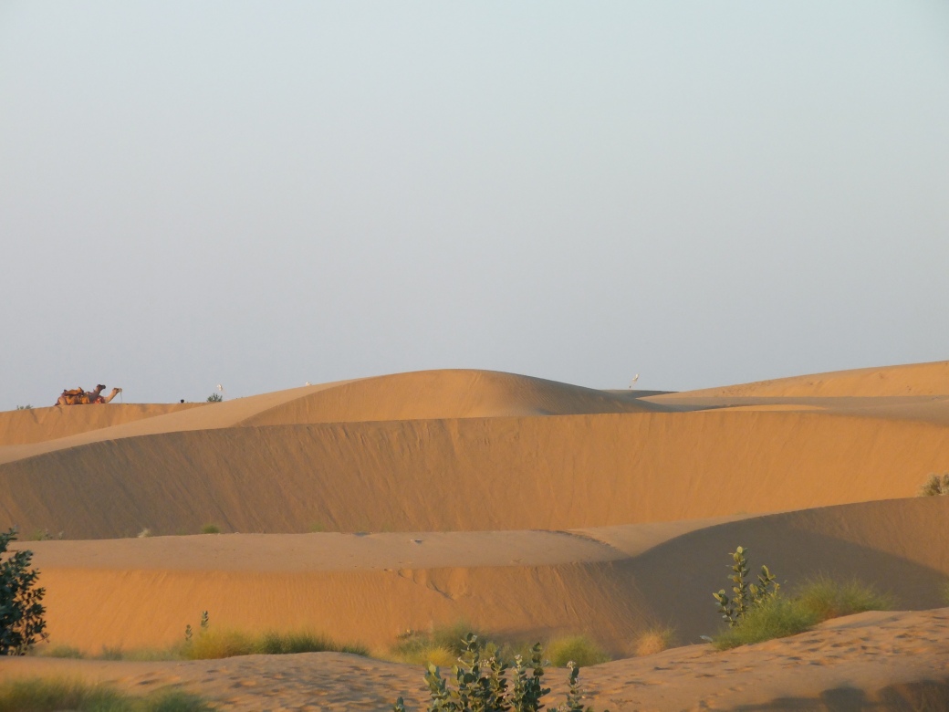 dunes.JPG