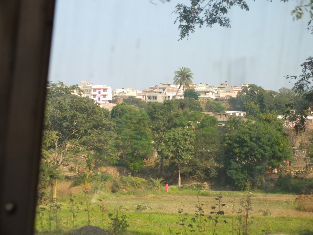 roadtoUdaipur2.JPG