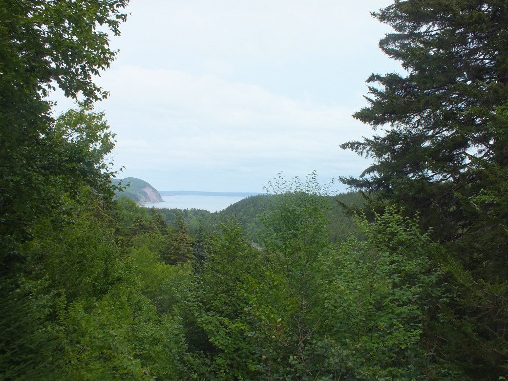 Fundy5.jpg
