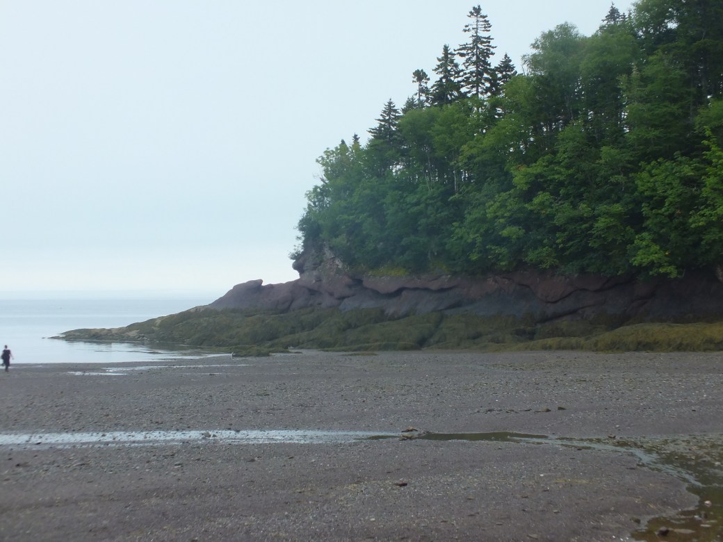 Fundy9.jpg